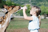 biche et fille